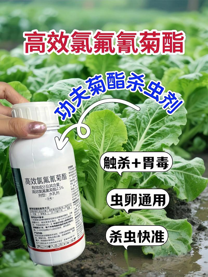 本溪代生中心:农药对供卵代生妈妈的危害